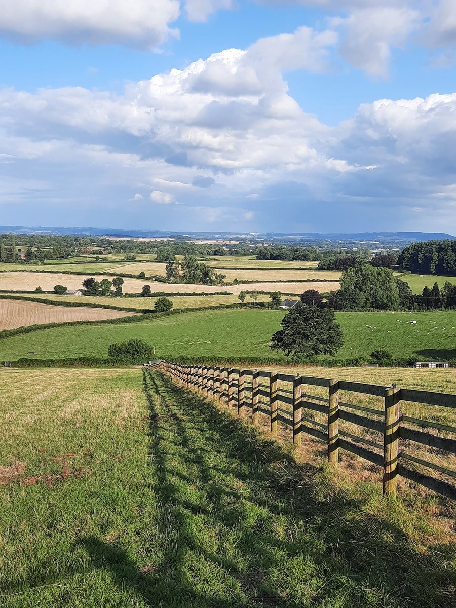 beaubai's tweet image. Lovely Herefordshire looking just about OK this evening ❤ #gallops #herefordshire #woofwoof