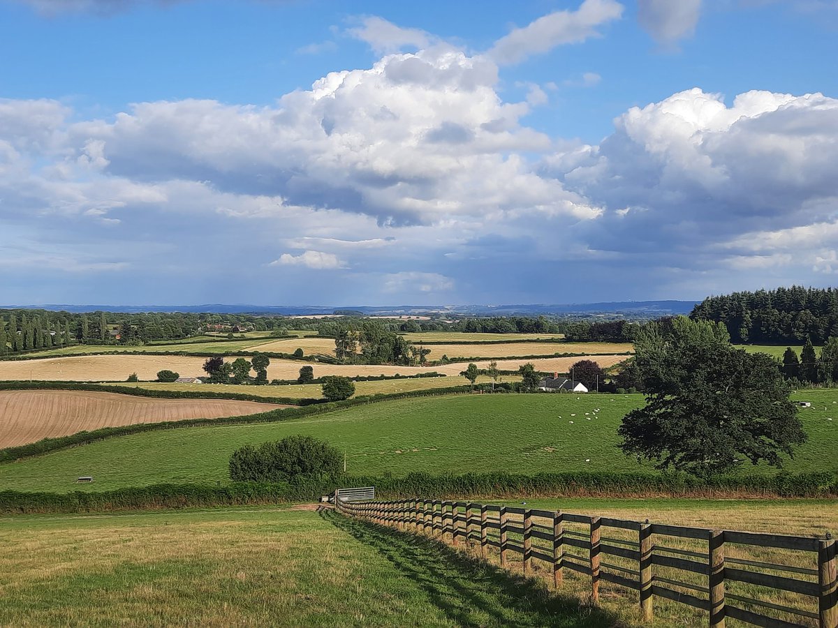 beaubai's tweet image. Lovely Herefordshire looking just about OK this evening ❤ #gallops #herefordshire #woofwoof