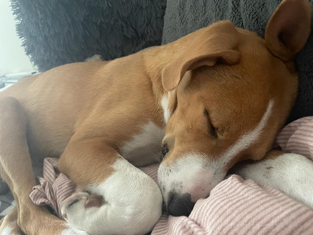 Willkommen neuer Freund ❤️