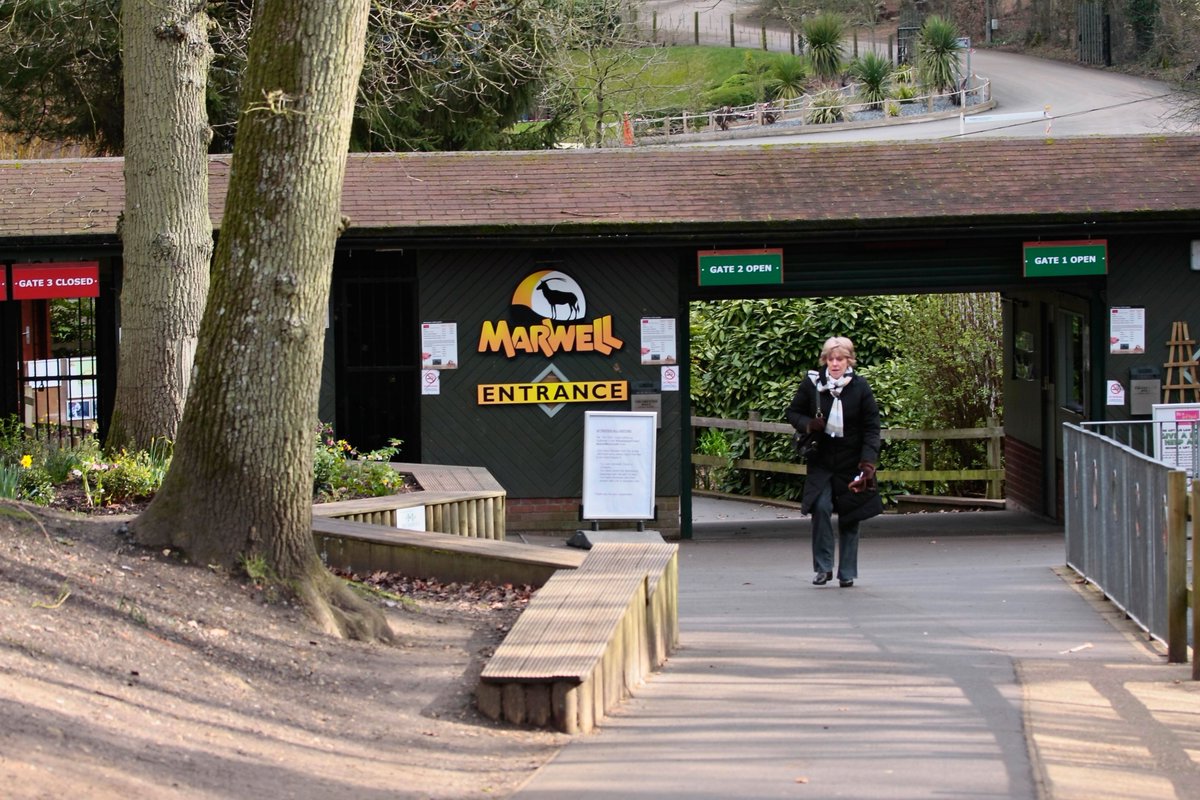 Marwell's celebrating the arrival of three piglets! The red river hogs are now a week old. Keepers at the Hampshire attraction say the triplets have more vivid markings than their parents #CapitalReports