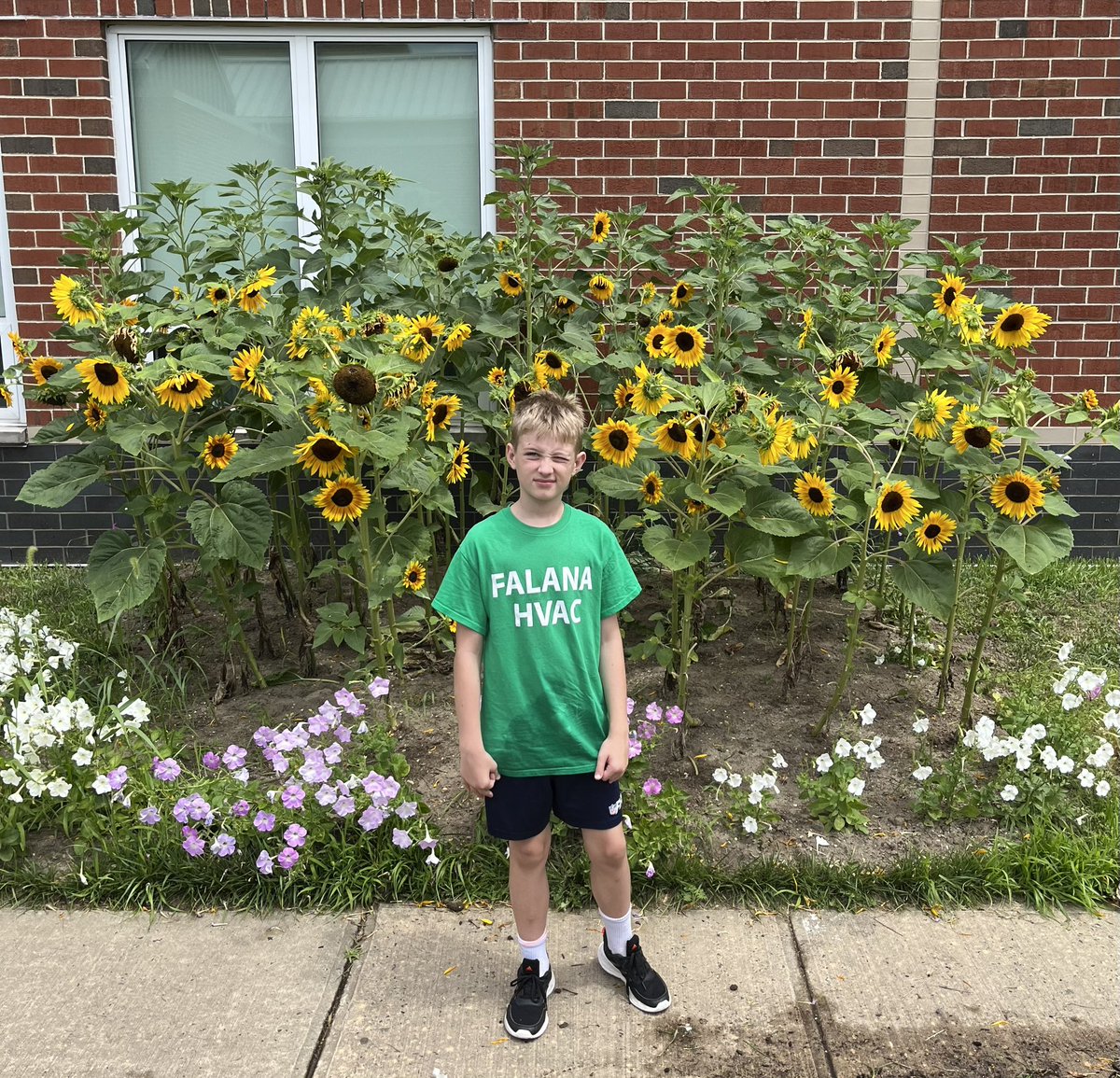 Mrs. Dunn tweet media