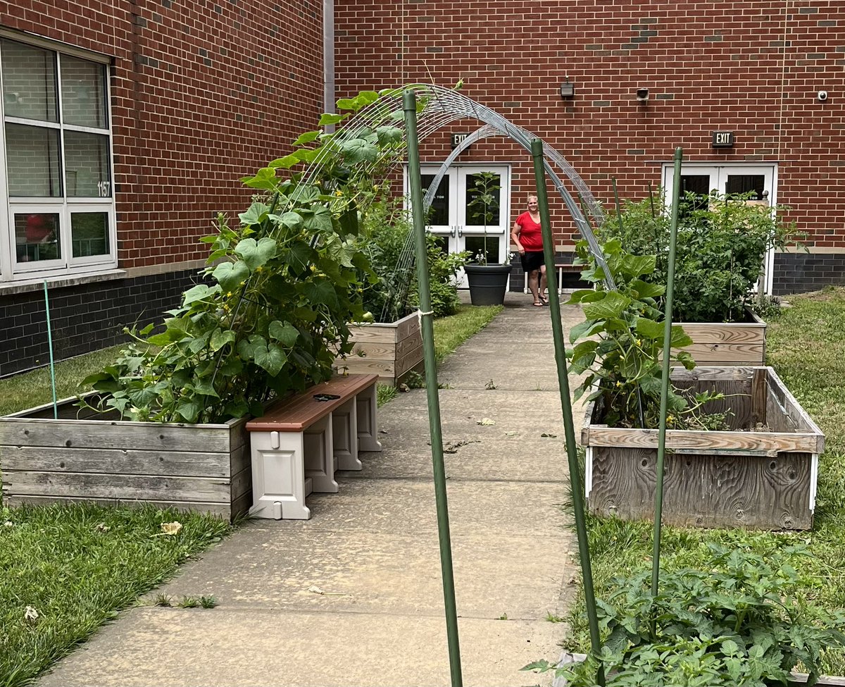 Mrs. Dunn tweet media