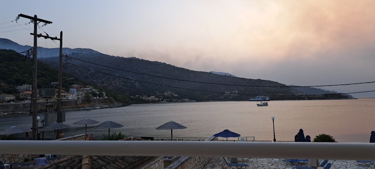 Jane Murphy tweet media