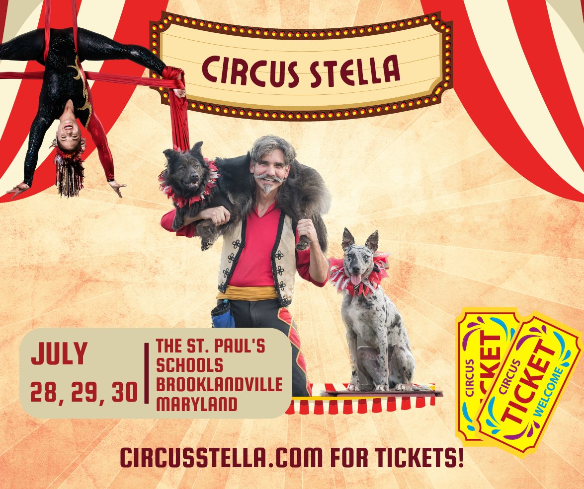 Come on out this weekend! We can't wait to see you🌟🎪🌟

Showtimes: Friday 5:00 &amp; 7:30, Saturday 2:00, 5:00 &amp; 7:30, Sunday 2:00 &amp; 5:00

Tickets at CircusStella (dot) com  🎉Spread the word!