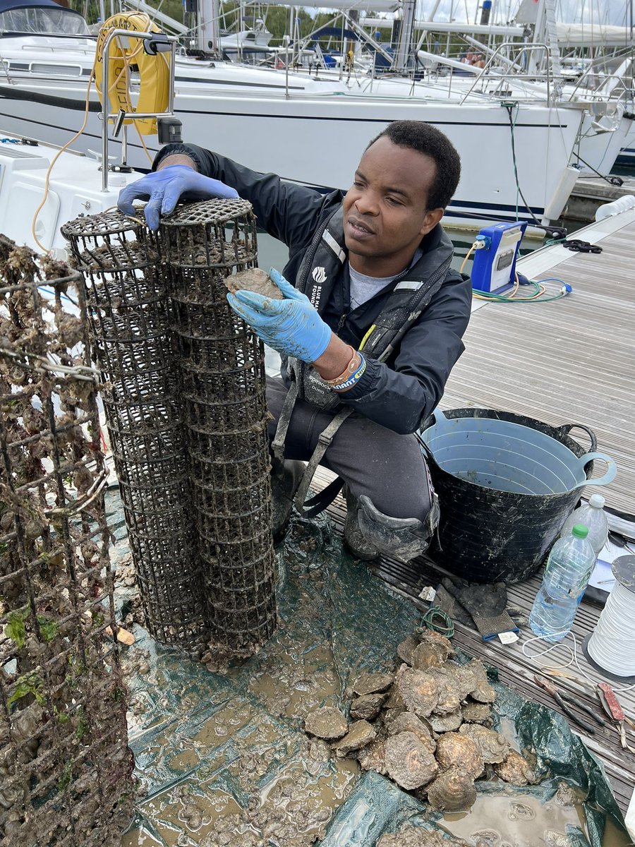 Henry Obanya tweet media