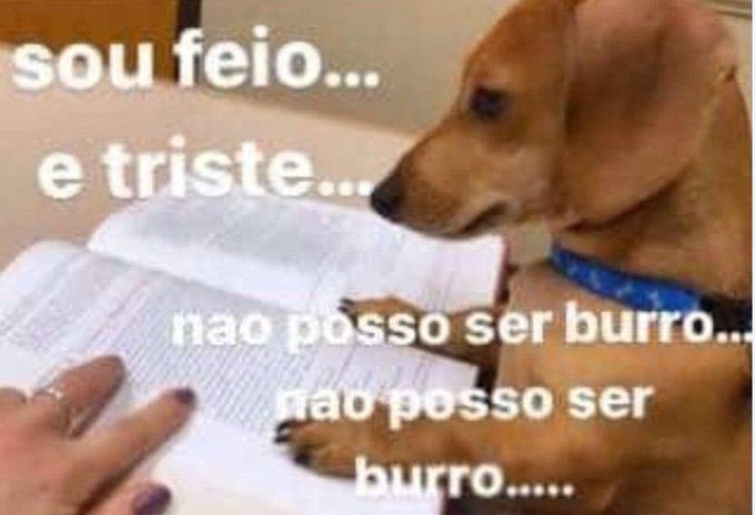 se a terra não é plana como explica o céu reto? (@moreiraviw) on Twitter photo 