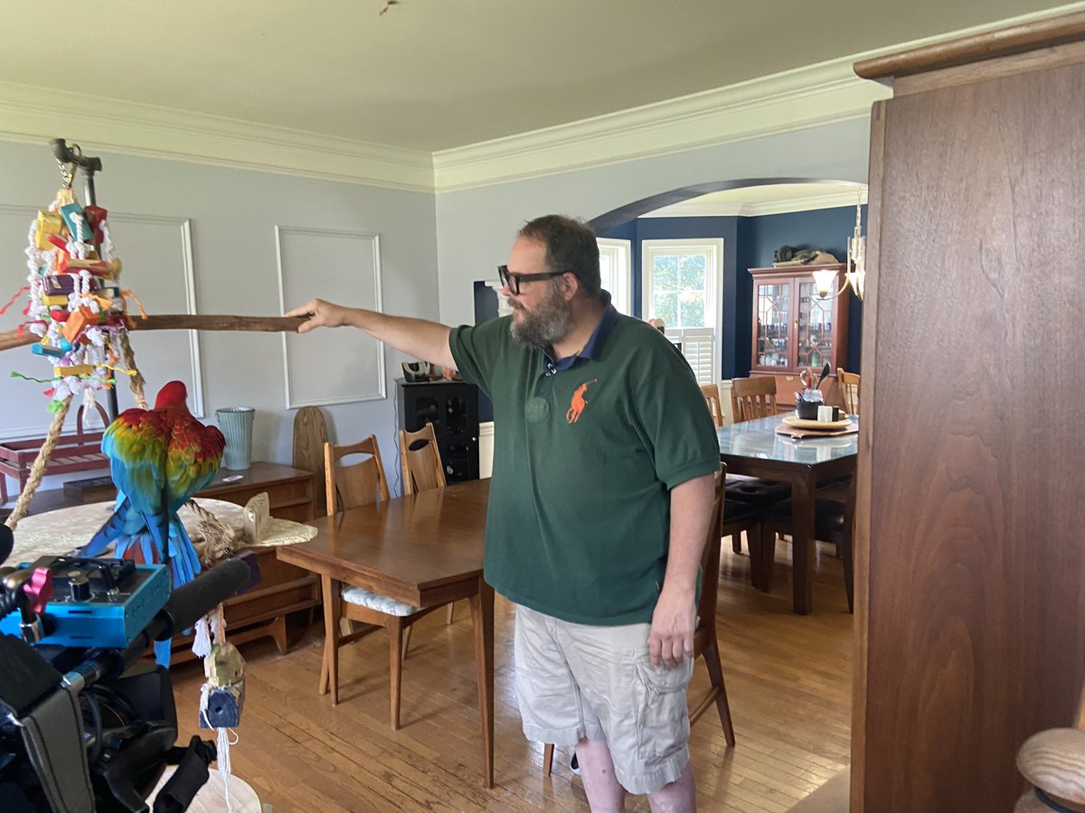 BarbaraBarrWGAL's tweet photo. We’re telling the story of Guru tonight. He’s a nine year old green wing McCaw who took off for the trees. The Thomas family was helped by an army of volunteers searching for Guru and bringing him home @WGAL #McCaw #GlenRock https://t.co/Ymr0LM1OIu