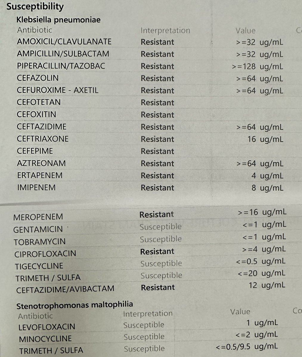 Alice Han tweet media
