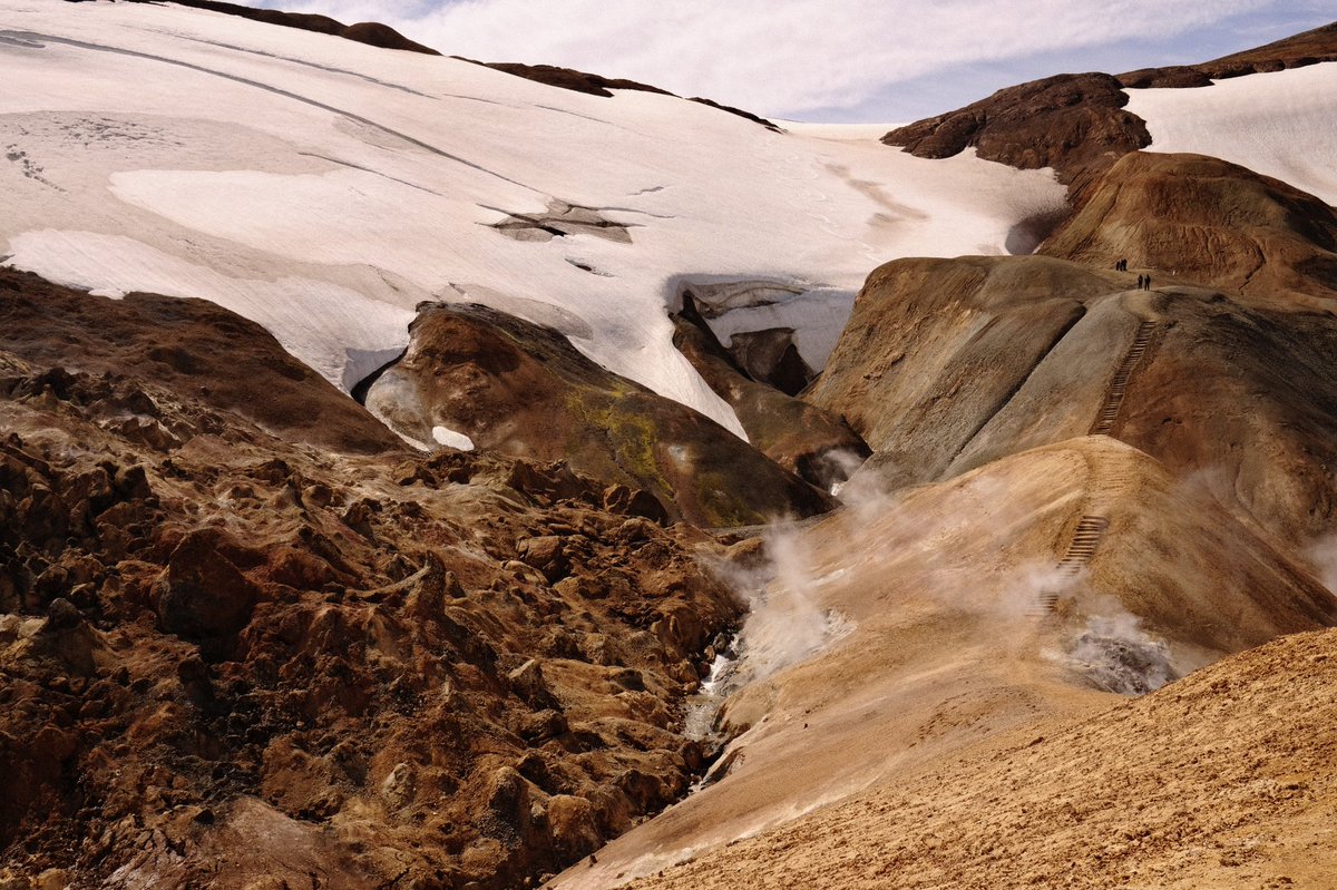 Sharee Hochman tweet media