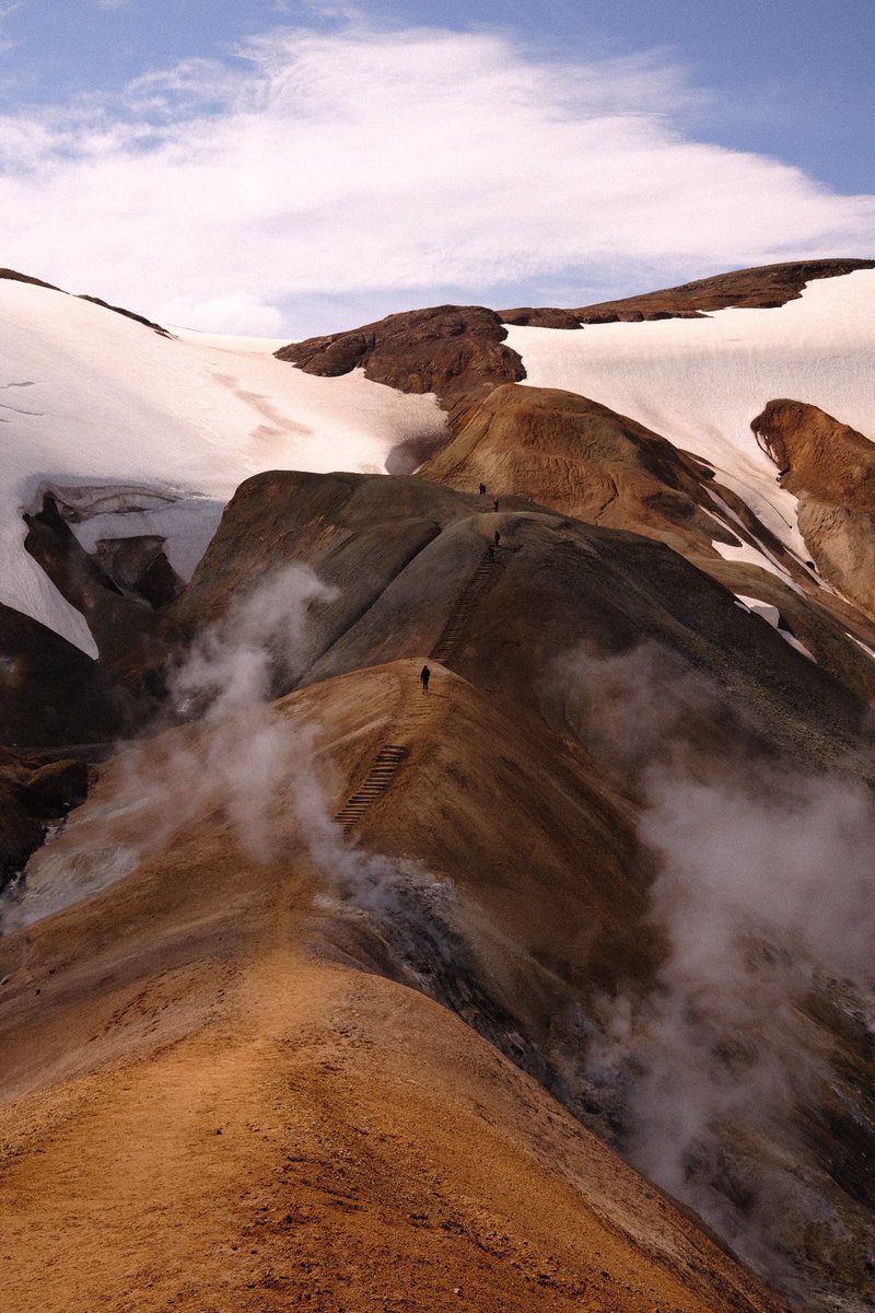 Sharee Hochman tweet media