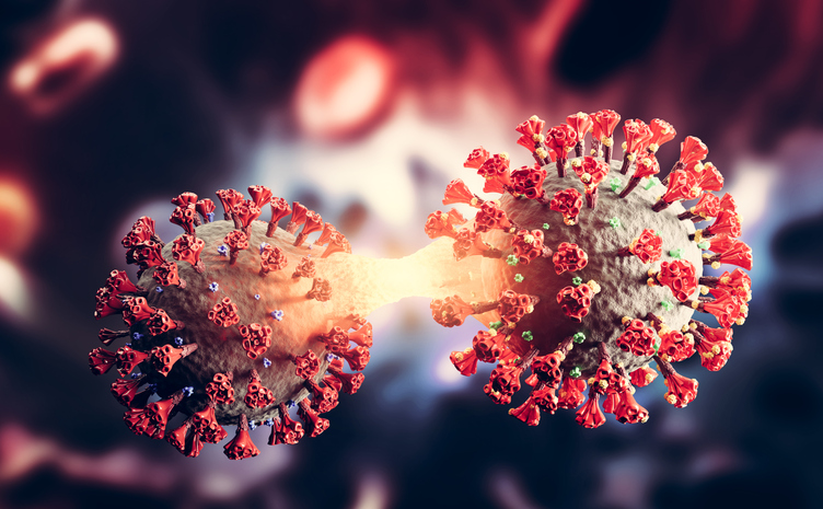 medflixs's tweet photo. #Infectiologie #Covid19
Intérêt des antagonistes des récepteurs adrénergiques alpha-1 contre les formes sévères de la Covid-19...
La suite sur Medflixs 👇 
https://t.co/RK5iQp6rRD https://t.co/p5hda6y1Pw