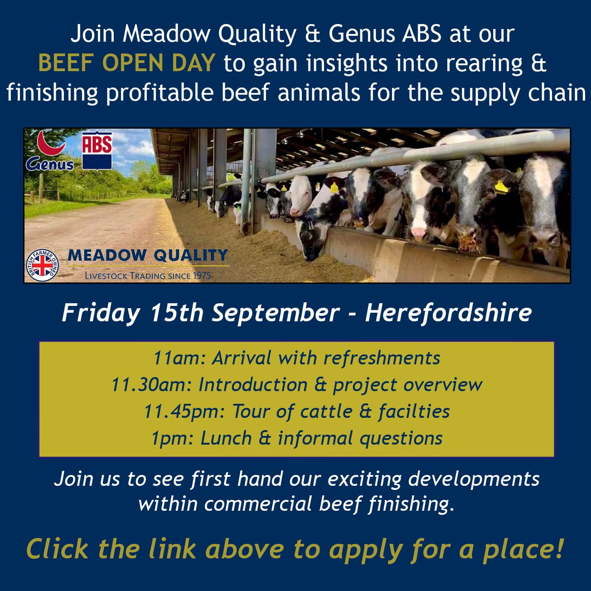 Meadow Quality Ltd tweet media