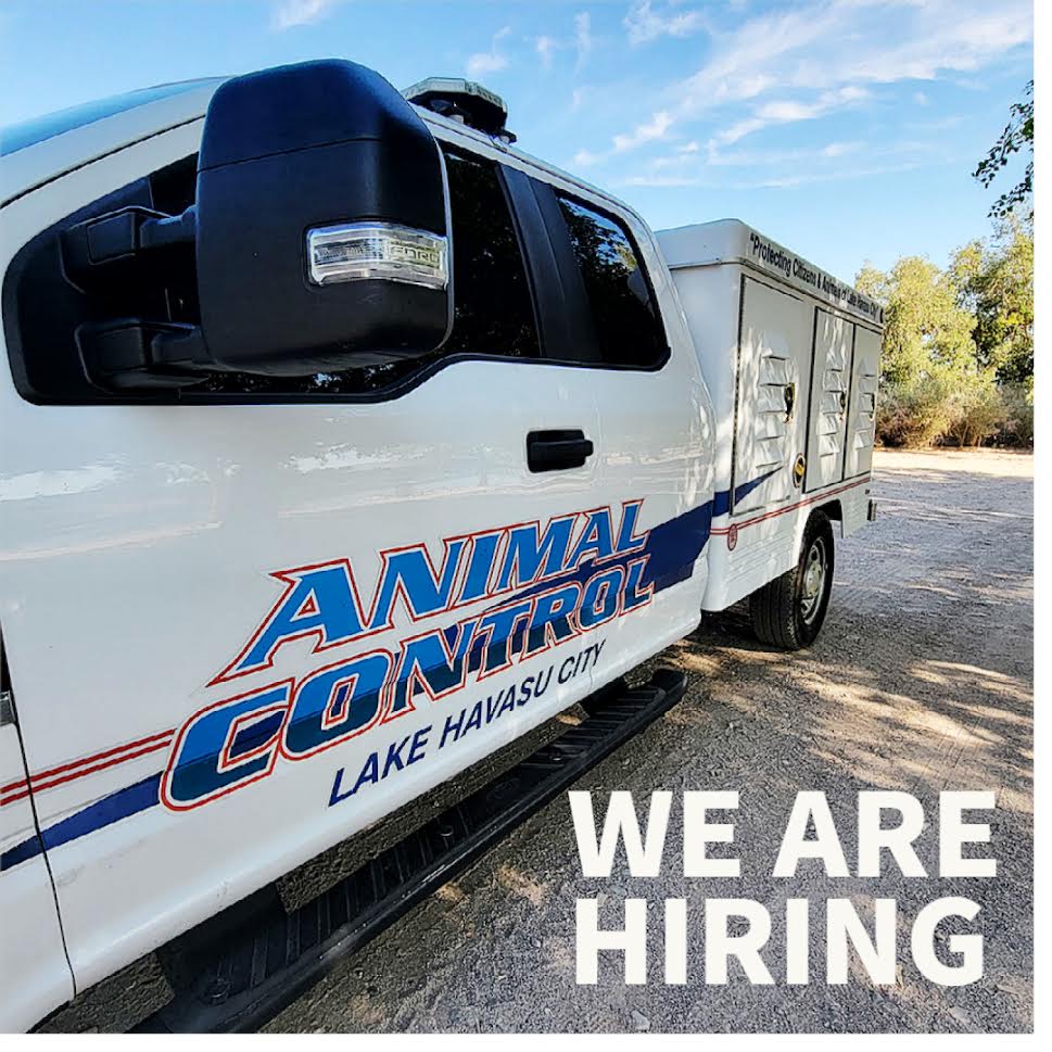 Lake Havasu City PD tweet media
