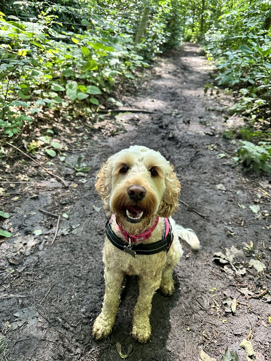 6 weeks off can be a lonely time for teachers so I’m making sure I get out the house as much as possible with my happy girl!📍🗺️

#ECT #teacherlife