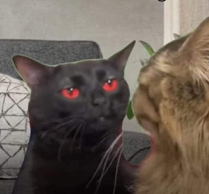 Qué decías??? 🤣🤣🤣