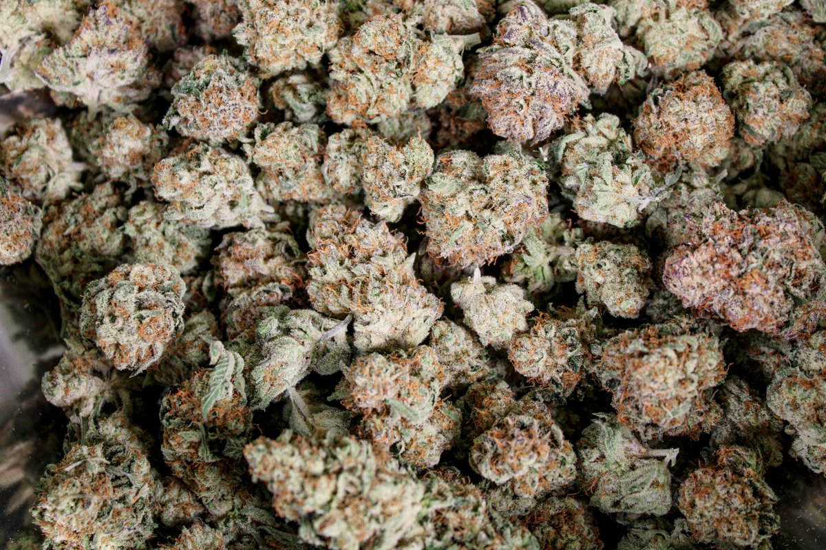 😎<a href="/TheSourceNV/">TheSourceDispensary</a> ranked us 3rd in top strains in their Las Vegas dispensary. Level X Scooby #7 premium flower. thesourcenv.com/products/level…