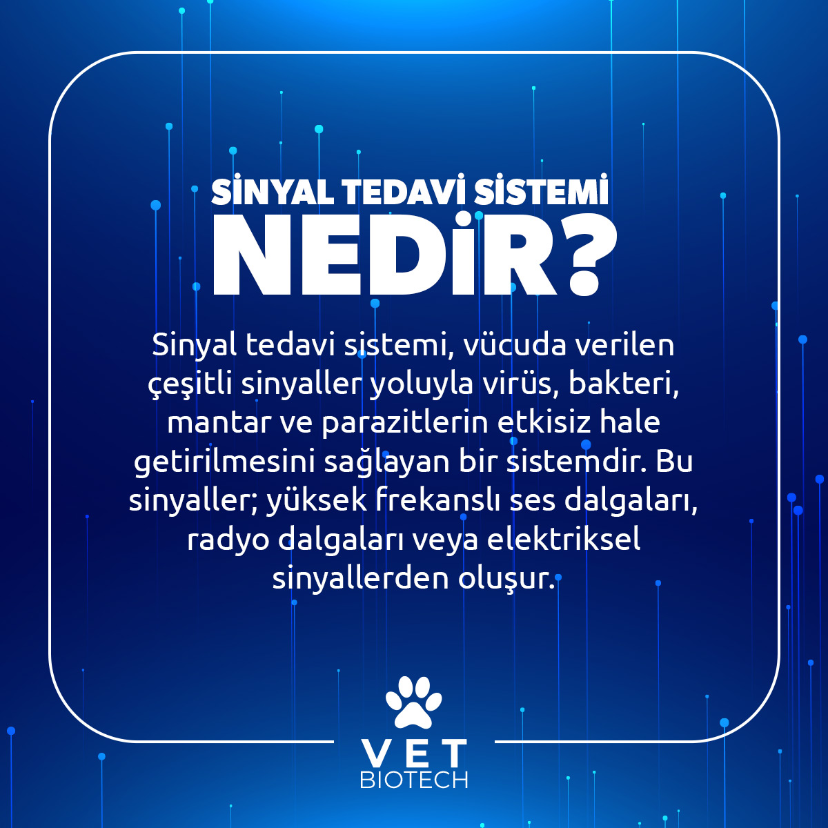 🚀 Revolutionary medical breakthrough! Offering fast solutions for untreatable diseases.🌟Side-effect-free success, beyond our time.

With this advanced healthcare tech, we're restoring our animal friends' health, while safeguarding public health for a healthier future.🐾
