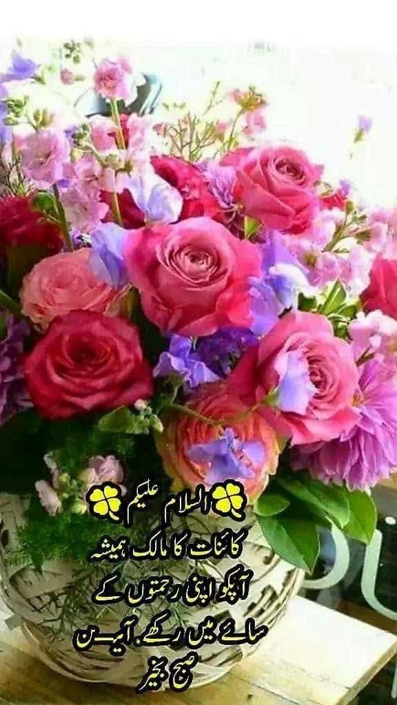 kalsmxn's tweet photo. @mzywn970 @SssOpss50742 https://t.co/rNsVrbLuRo