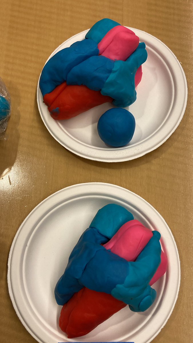 Playing with hearts in their true form. We love learning cardiac anatomy with the help of play dough.