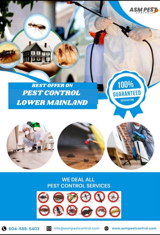 asmpestcontrol's tweet image. ASM Pest Control provides comprehensive pest treatment using cutting-edge technology to eliminate all Pests without damaging your belongings.
 Contact us !

☎- 604 - 589 - 5403
🌐- asmpestcontrol.com
.
.
#asmpestcontrol , ASM Pest Control, #pestcontrolnearme, #pestremoval