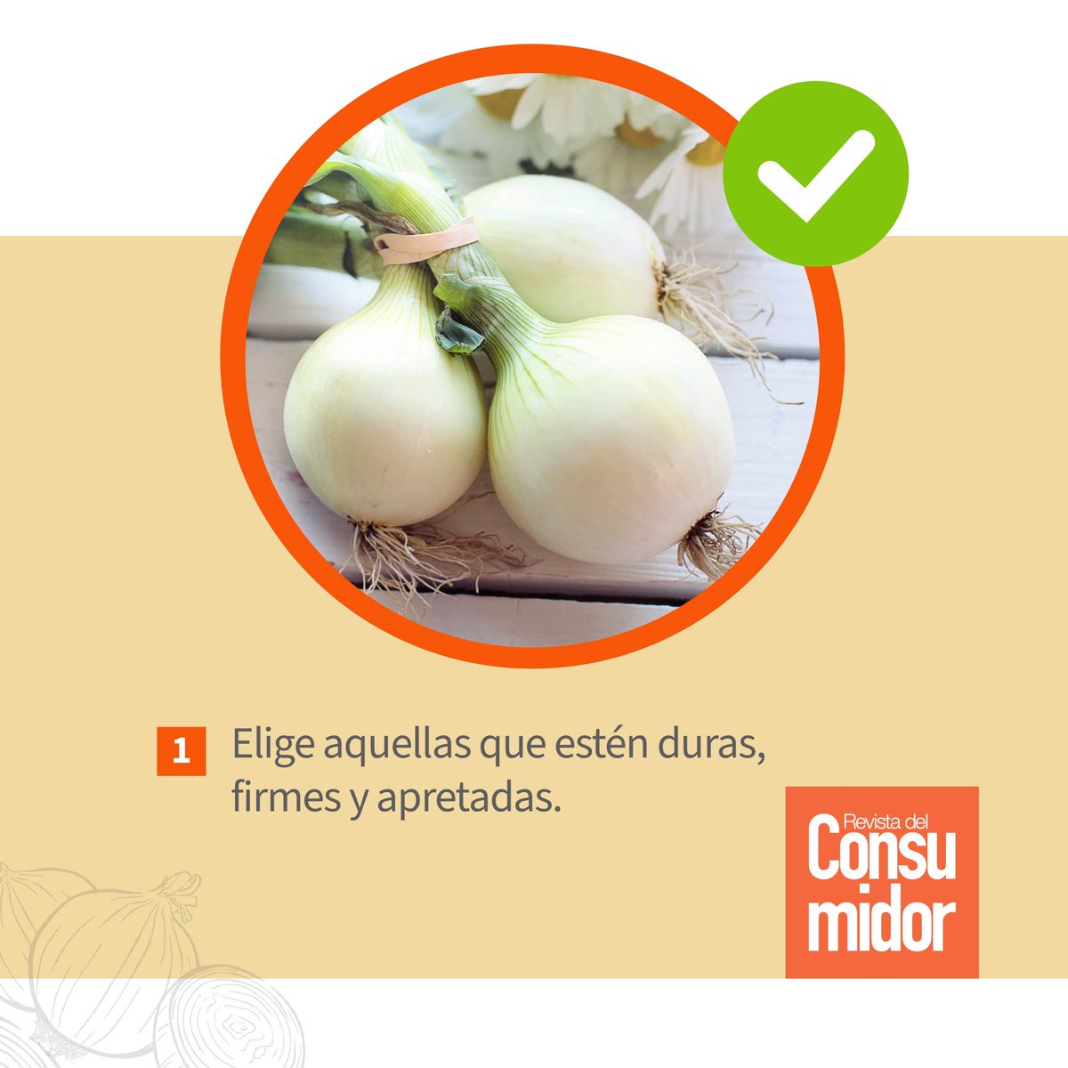 Profeco's tweet photo. 🧅La #Cebolla es la reina de las verduras por su versatilidad culinaria, intenso sabor, sus cualidades terapéuticas y propiedades antisépticas.
🛒Sigue nuestros #TipsProfeco para comprarla y conservarla. https://t.co/9Ntrdo5pro