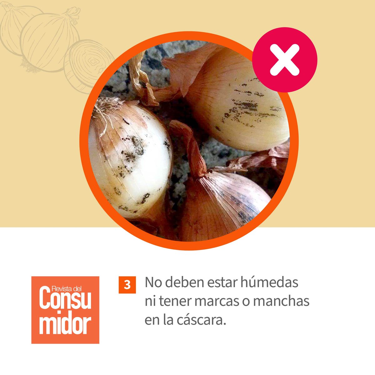 Profeco's tweet photo. 🧅La #Cebolla es la reina de las verduras por su versatilidad culinaria, intenso sabor, sus cualidades terapéuticas y propiedades antisépticas.
🛒Sigue nuestros #TipsProfeco para comprarla y conservarla. https://t.co/9Ntrdo5pro
