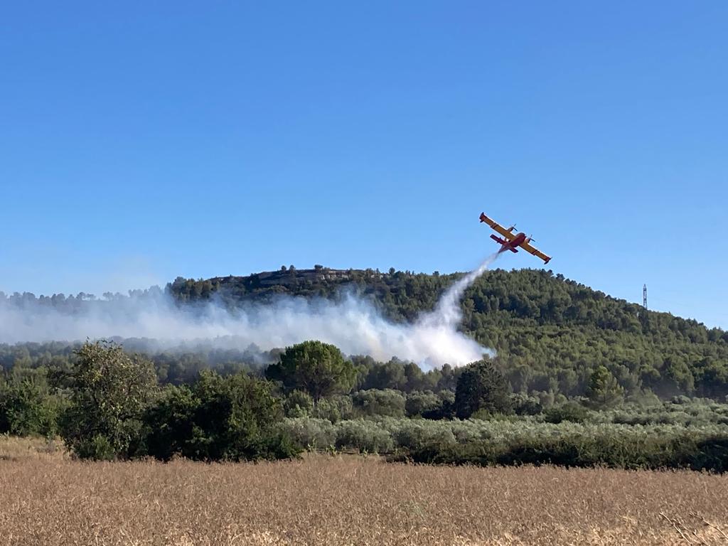 Pompiers_13's tweet photo. [#Opérations]

Les feux de la @VilleArles et de la @Villedevelaux sont fixés.

➡️ 17 ha sur #Arles 
➡️ 3 ha sur #Velaux 

Les #Pompiers13 restent mobilisés sur le terrain. https://t.co/J6UcYXb9AX