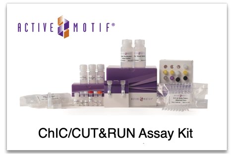 activemotif's tweet photo. NEW! CUT&RUN Assay Kit - how does it stack up to the Competition? See the data!๐https://t.co/bc1BYtc3tk
#epigenetics #genomics #proteomics #genetics #transcriptomics #cancerresearch #tagmentation #Tn5 https://t.co/o0ksWferQU