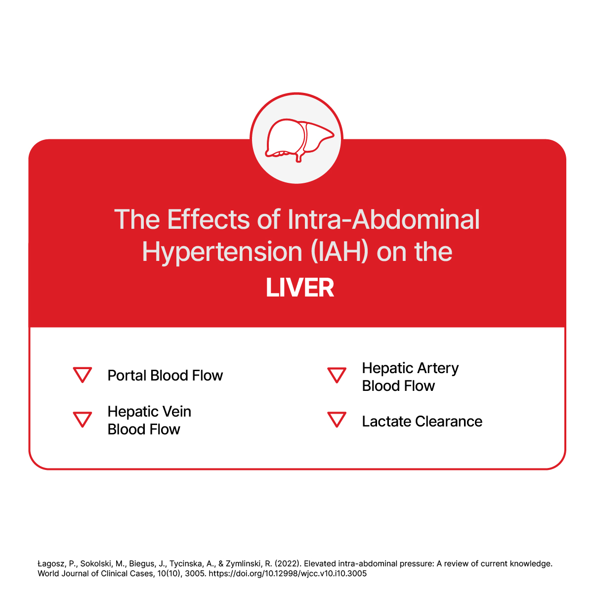 SentinelMedT's tweet photo. Elevated #IAP can lead to #IAH which can reduce portal blood flow and lactate clearance in the liver, hindering waste filtration. This can lead to lactate buildup in the bloodstream, causing discomfort and potentially liver failure. Learn more: https://t.co/XjXYQ2CSZ7
#Healthcare https://t.co/JzBDQJDgx9