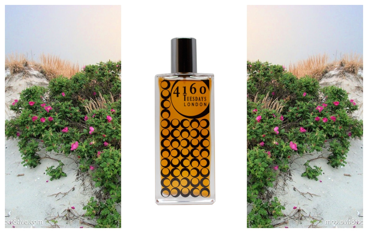 Check out my review of <a href="/4160Tuesdays/">4160Tuesdays</a>  Salt Rose. We all know what beautiful places out of season beaches are, and this is a scent that captures that. Resilient roses sprouting from sandy soil and battered by salt, wind &amp; sea make for a powerful metaphor  tinyurl.com/ISSR4160
