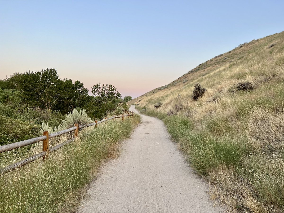 Morning trail run at the military reserve, 1.5 miles away from downtown Boise. #Botany2023