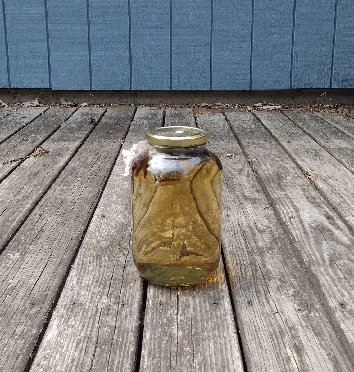 IanLeeRockwell's tweet photo. Making @RedRoseTeaUS sun tea 😋
#suntea
#summertim https://t.co/mPZNcIyELk
