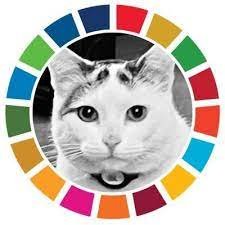 #FreeBeachRoy
#JeSuisBeachRoy 
#BeachRoy