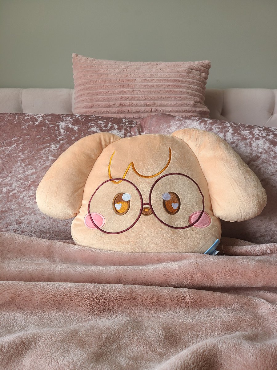 LOOOOOK AT THE CUTIE THAT ARRIVED TODAYYYY SO FREAKING ADORABLE!!!!

<a href="/zimtyco/">cin’s small happiness🦋</a> thank you for your adorable pillows I'm in love