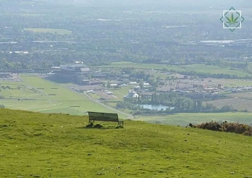 Nobody:

Stoners: "We should smoke on that bench"