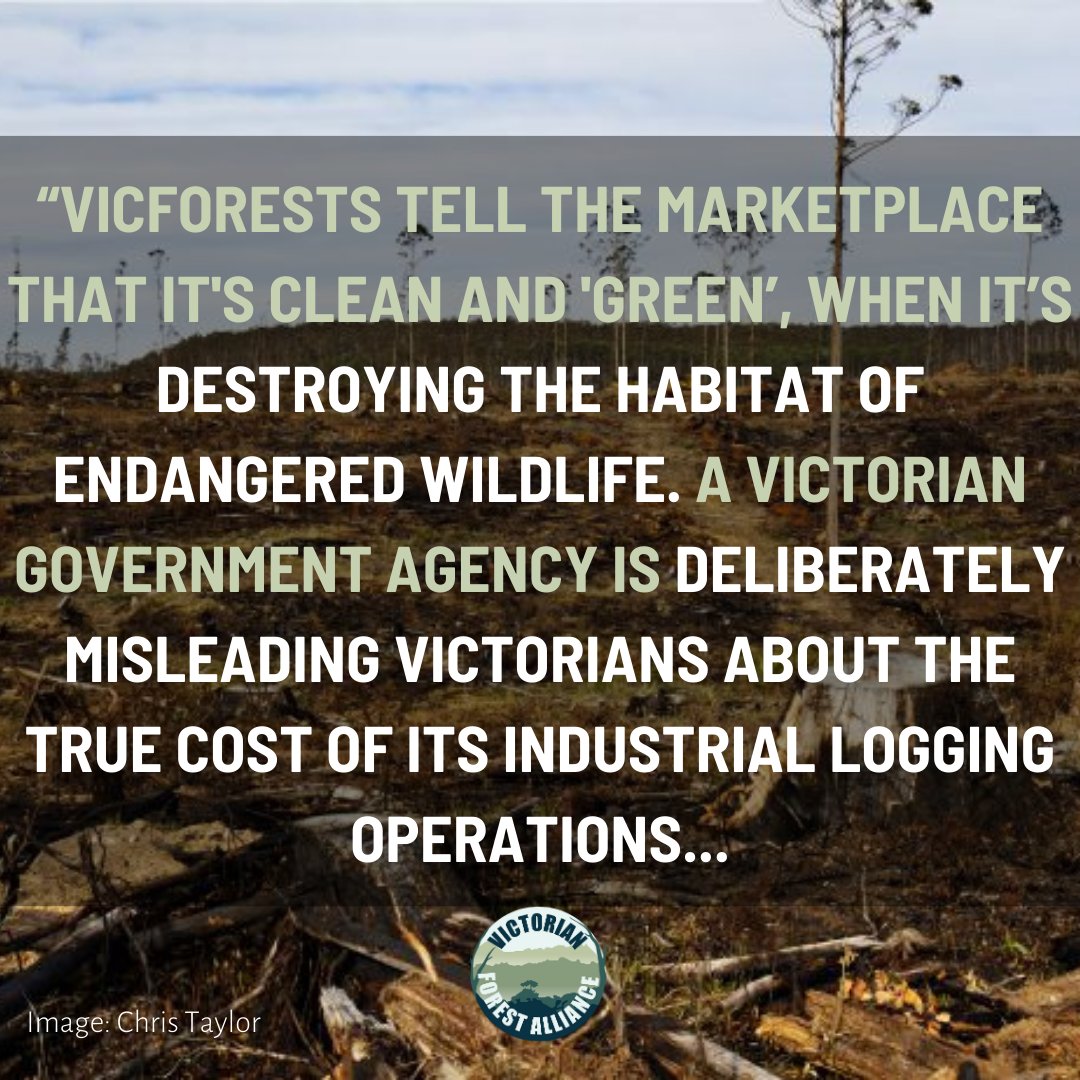 alliance_forest's tweet photo. It is essential that false claims like those on the VicForests website are exposed and held to account. 

Read the ACCC complaint here:
https://t.co/2xWgZZqQ3X https://t.co/a6urWtdCyF