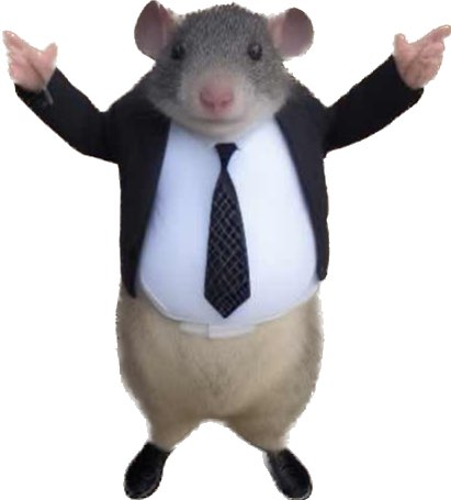 NorbitBaby's tweet photo. Happy TUESDAY friends!! I recently discovered this Mr Chedda guy and I think it's hysterical!! 🤣🤣 https://t.co/bptnthcx9g