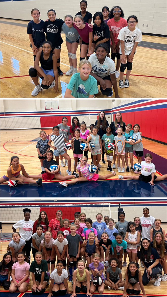 AHS VOLLEYBALL tweet media