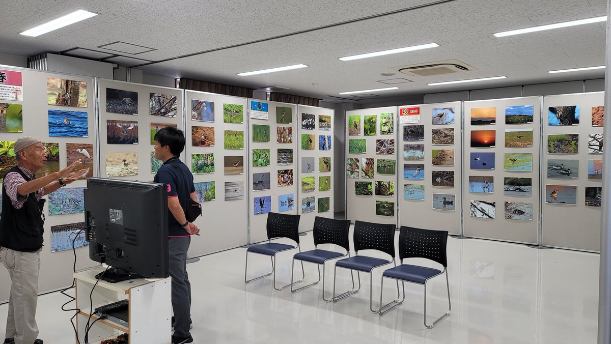 watarase_hl's tweet photo. オトギリです…🍀#渡良瀬遊水地野鳥写真展「#遊水地の野鳥たち」7/22～7/30まで #野木ホフマン館 で開催中です😆真瀬勝見さん📸のスーパーショート🕊️満載です🐤こちらにお出かけの際には、是非お立ち寄り下さいね👋😃✨
#渡良瀬遊水地 #ハートランド
 #栃木市 #自然  #自然が好き #花 #花が好き https://t.co/TUbj31GP4O