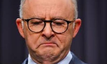 AleDowund's tweet photo. Revelaed: The real reason why #AlboTheHorrificAbuser #HatefulAlbo #RacistAlbo cried when announcing The Voice is that someone whispered in his earpiece that they were shutting all illegal massage parlours in Australia #FakeAlbo #GFYAlbo https://t.co/cL7MVtvZiY