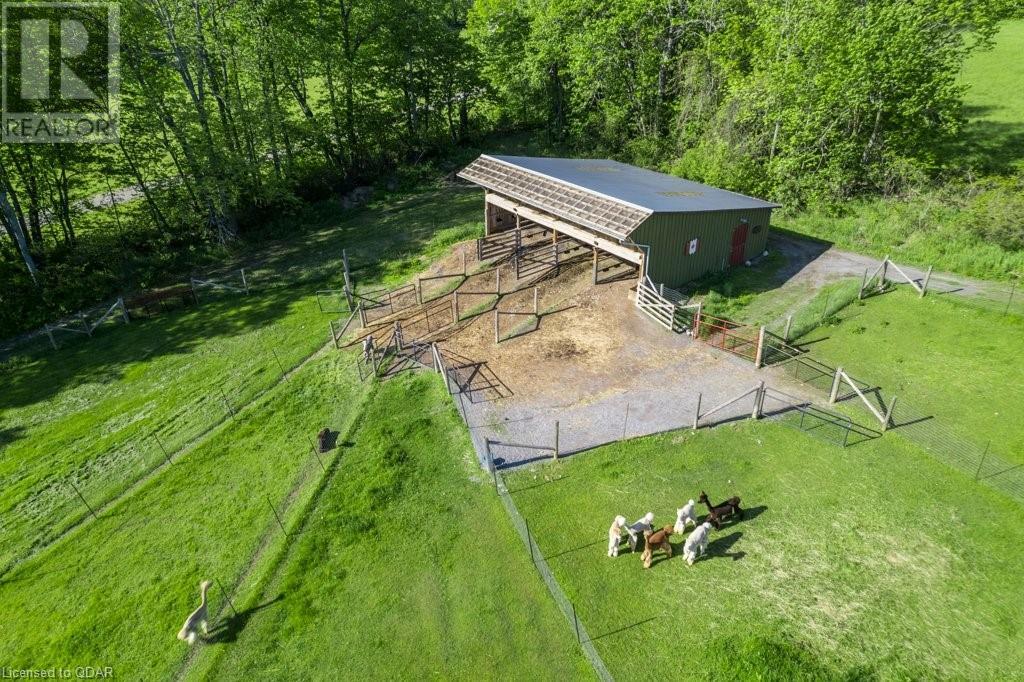 Oak Hills Alpacas tweet media