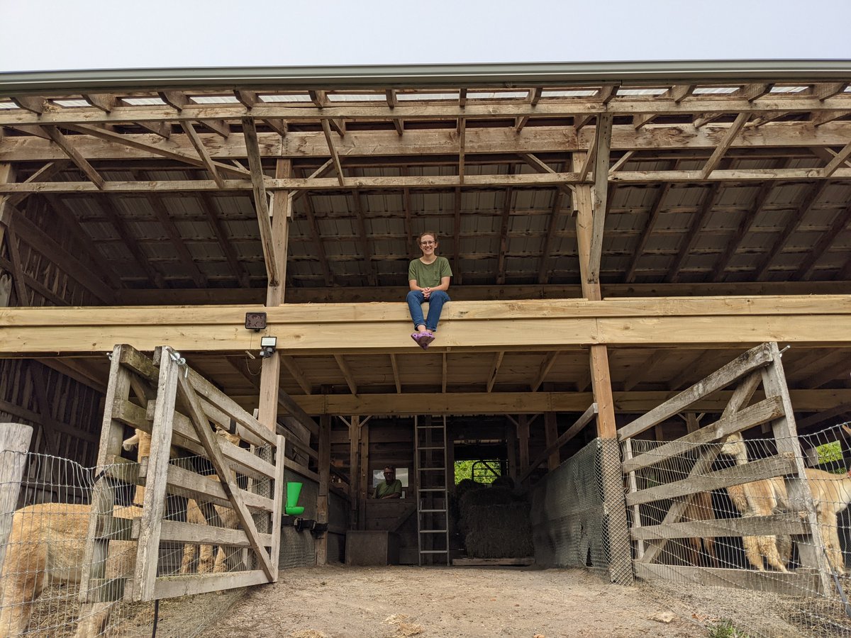 Oak Hills Alpacas tweet media