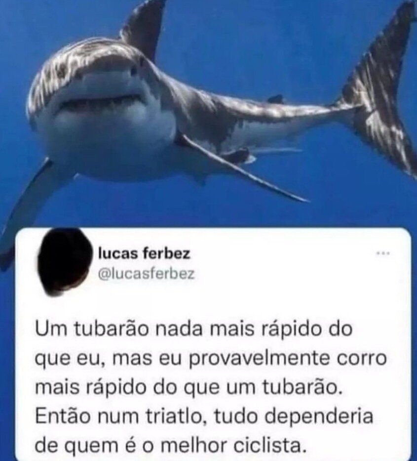 coisas burras ditas de forma inteligente (@burrosgeniais) on Twitter photo 
