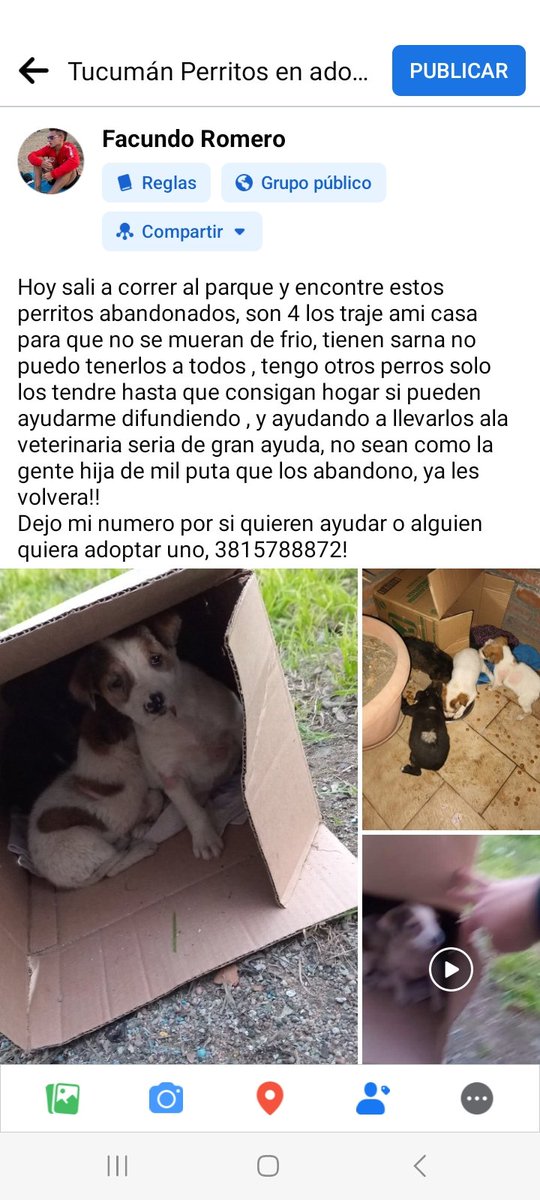 Facuromero020's tweet photo. Gente ayuden difundiendo aunque sea, lo minimo que se puede hacer, no podia dejarlos ahi😭 https://t.co/oAiYkU9jit