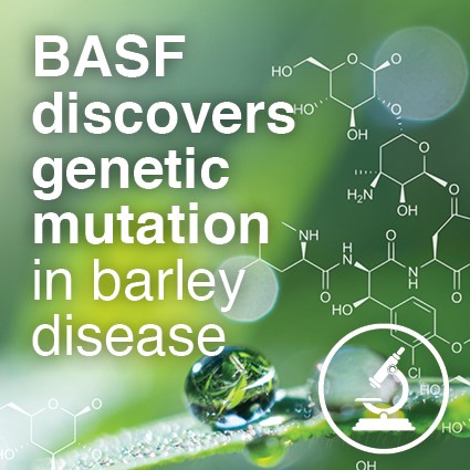 🟢News Alert!🟢

BASF researchers detect F129L mutation in barley leaf samples infected by net form of net blotch (NFNB). Just another reminder to always implement integrated disease management strategies.

Full story here: basf.link/F129LUpdate