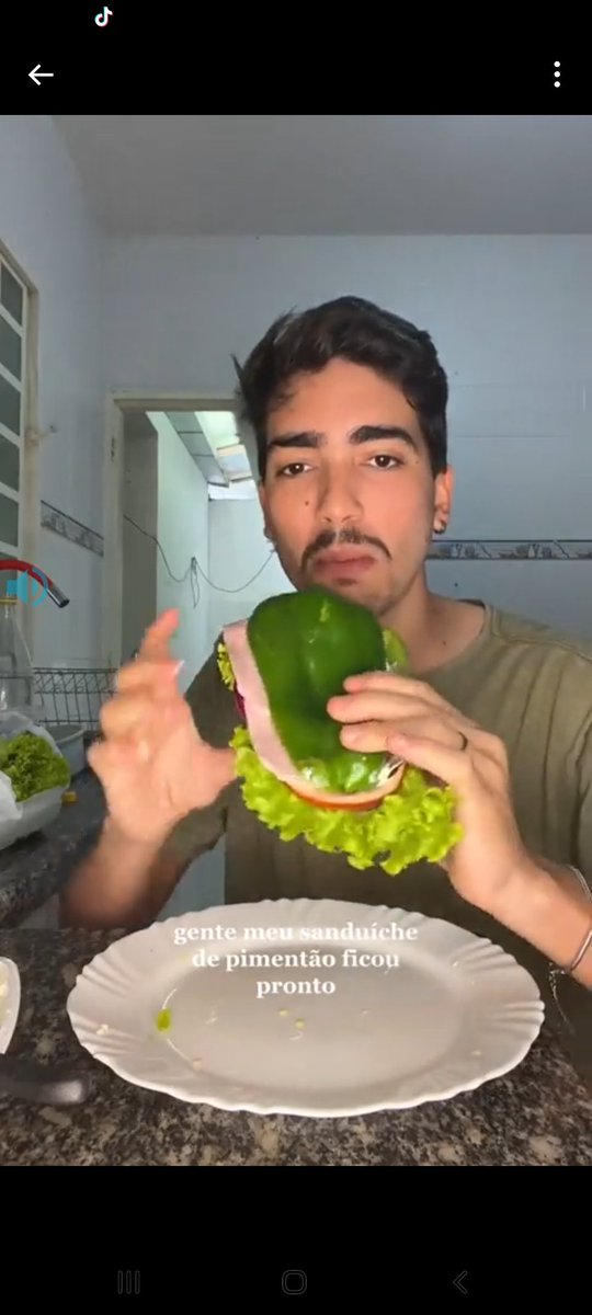 🚨VEJA: Garoto faz sanduíche de pimentão verde e fala o que achou em um vídeo.