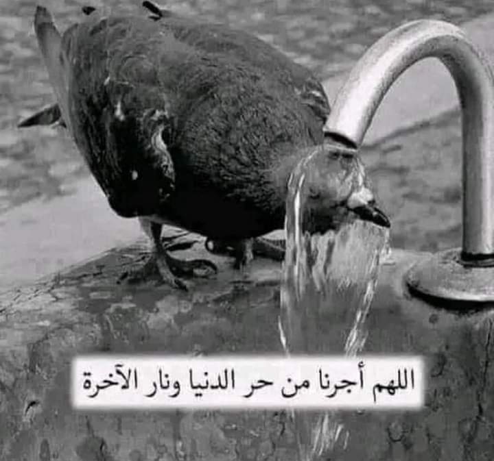 " اللهُمَّ أجرنا مِن نار جهنم 
 وخفف عنّا حر الدنيا والآخرة ، وإجعلنا في ظل عرشك يوم 
  لا ظل إلا ظلك .. 

 اللهمَّ هون حرارة شمسك علي الساعين بأرضك قاصدين 
 حلال رزقك . . . 
   اللهمَّ أجرنا مِن حر الدنيا والأخرة 🤲🏻