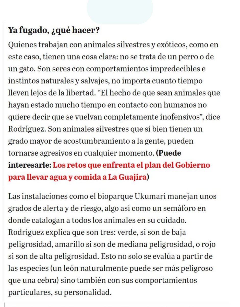 Jeisson Castro tweet media