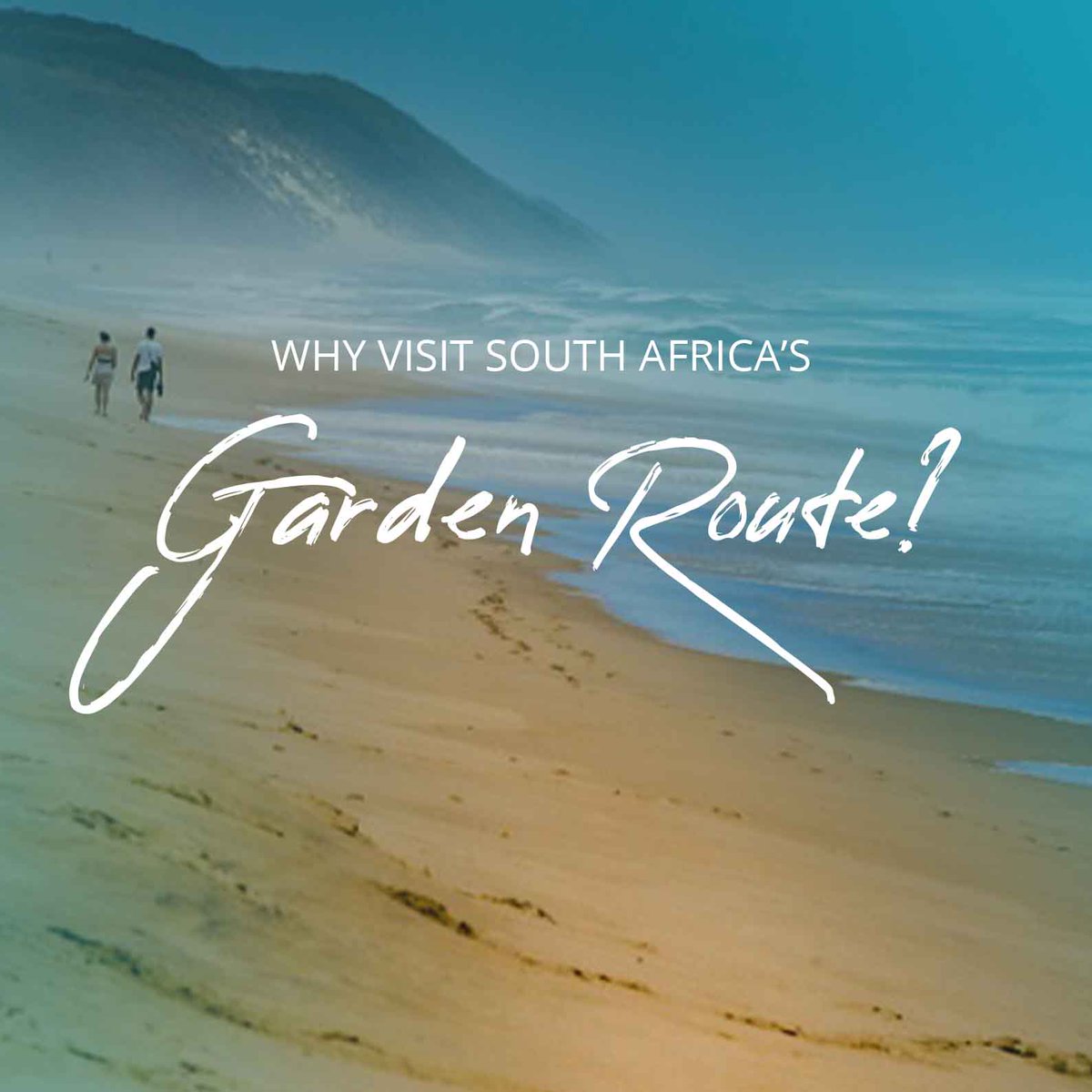 Tours_By_Locals's tweet image. The #GardenRoute of South Africa is one of the most beautiful places. Many who have traveled here have called it "Eden."

𝗕𝗹𝗼𝗴: 𝗪𝗵𝘆 𝗬𝗼𝘂 𝗦𝗵𝗼𝘂𝗹𝗱 𝗩𝗶𝘀𝗶𝘁 𝗦𝗼𝘂𝘁𝗵 𝗔𝗳𝗿𝗶𝗰𝗮'𝘀 𝗚𝗮𝗿𝗱𝗲𝗻 𝗥𝗼𝘂𝘁𝗲
👉 ow.ly/HsmW50Plc7r