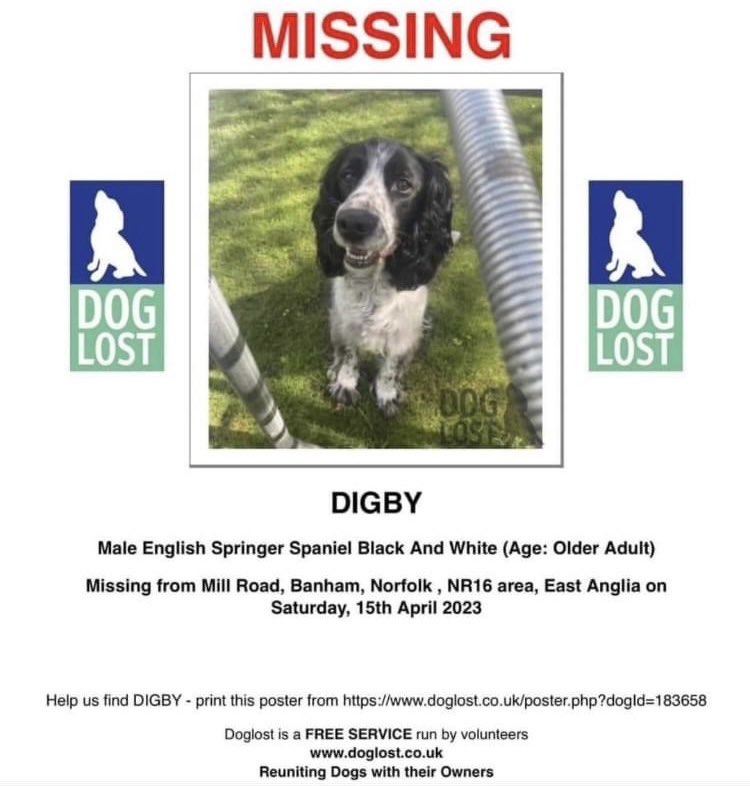 JustineQuirk's tweet photo. #Missing Digby’s appeal

Please look at the photos below &amp; call @DogLostUK in the strictest confidence if you’ve ANY information on missing Digby 💔

Missing since 15th April 2023, he is desperately missed and his family are heartbroken 💔 

#LostDogsLive https://t.co/JQNWWR7n5k